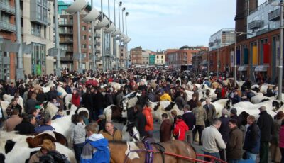 smithfield horse market 1
