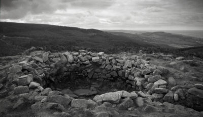 tibradden 1