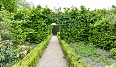 altamont gardens