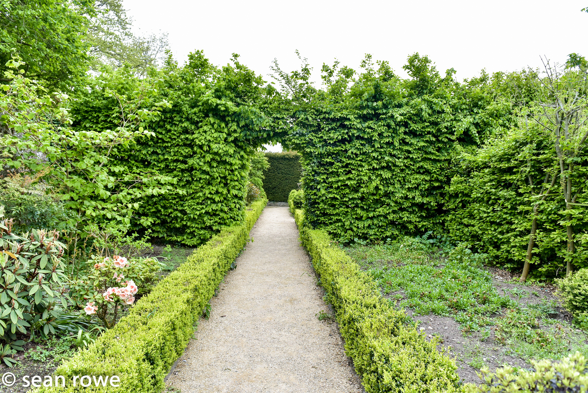 Altamont Gardens - Sean Rowe - cc