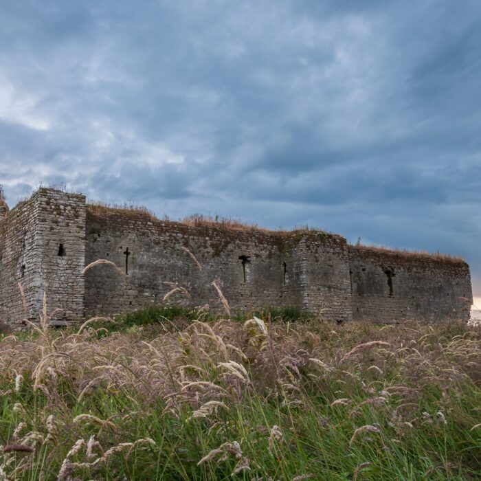 ballymoon castle
