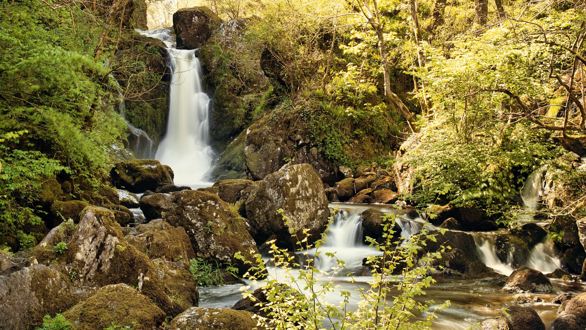 Devil's Glen - © leo