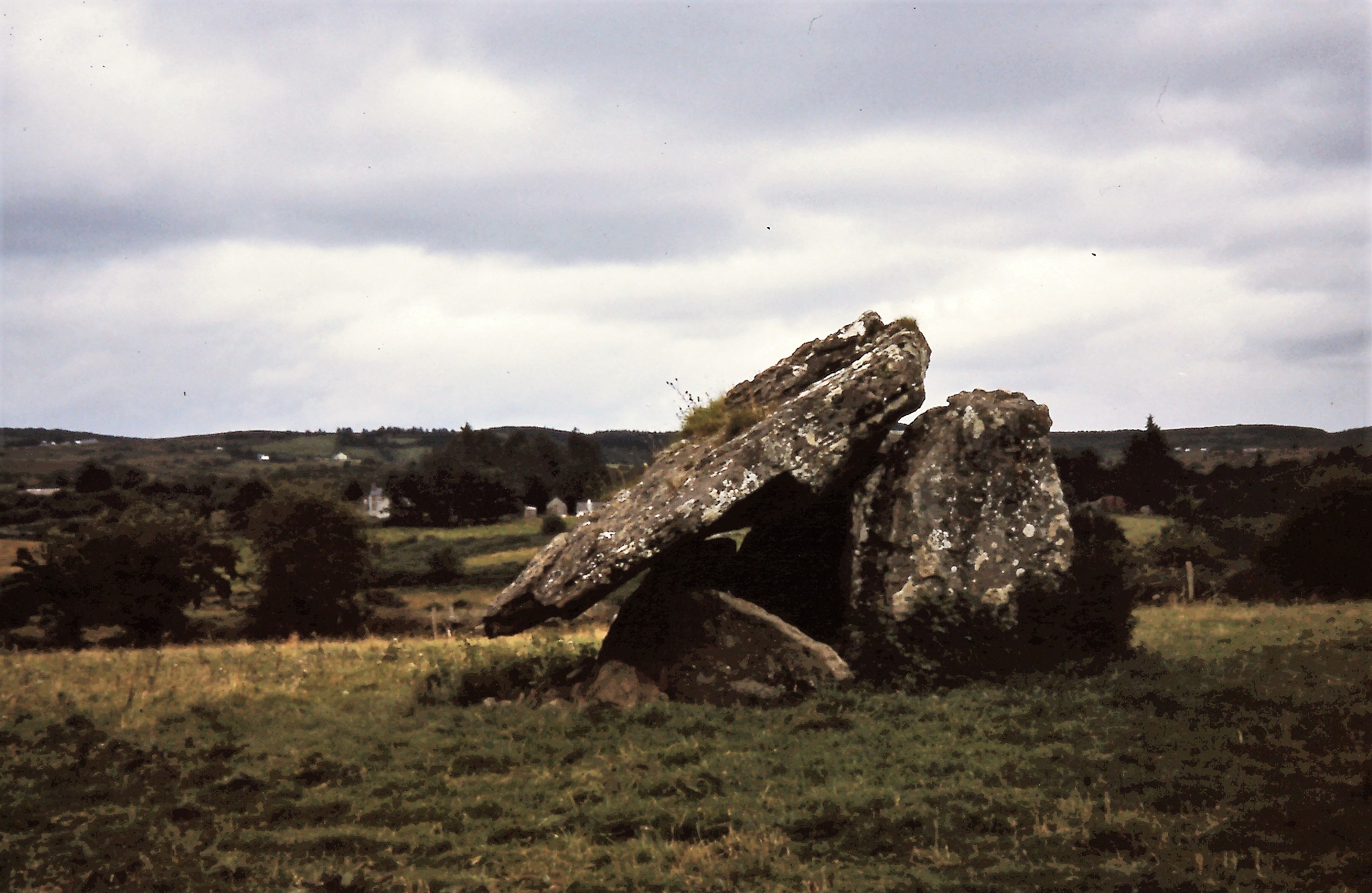 Le Dolmen Drumanone - Wanfried-Dublin - cc