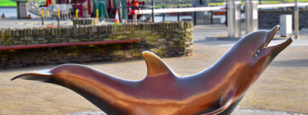 Fungie, the Dingle dolphin, is said to be the oldest solitary dolphin in the world!