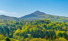 great sugar loaf