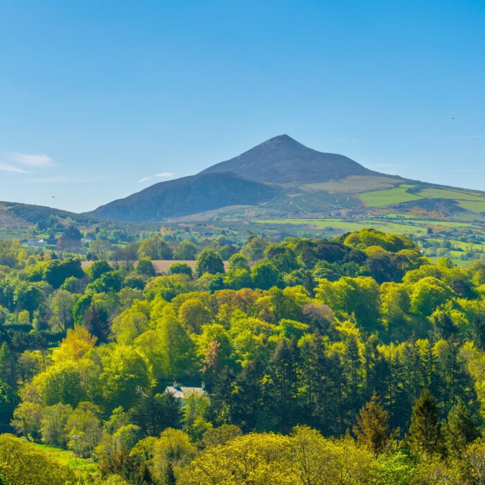 great sugar loaf