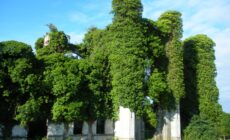 moydrum castle 1 scaled