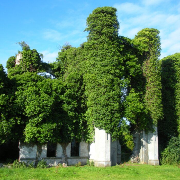 moydrum castle 1 scaled
