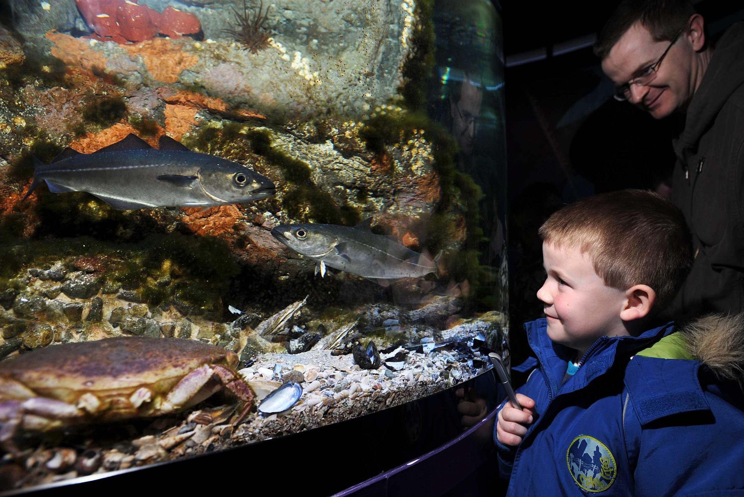 Le Riverwatch Aquarium - https://discovernorthernireland.com
