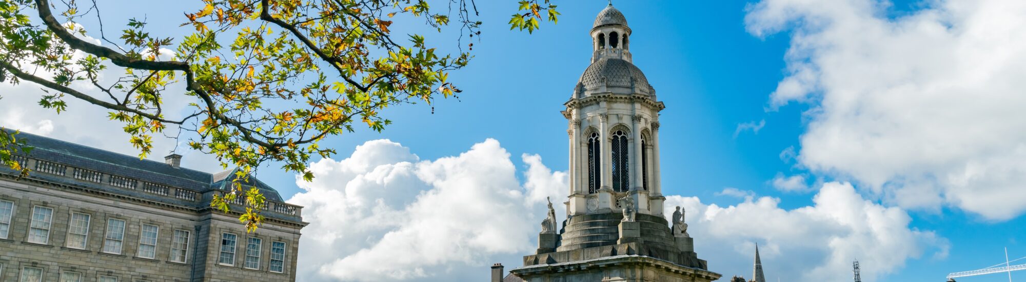 Universities