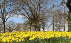 barnett demesne 1 scaled