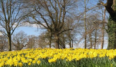 barnett demesne 1 scaled