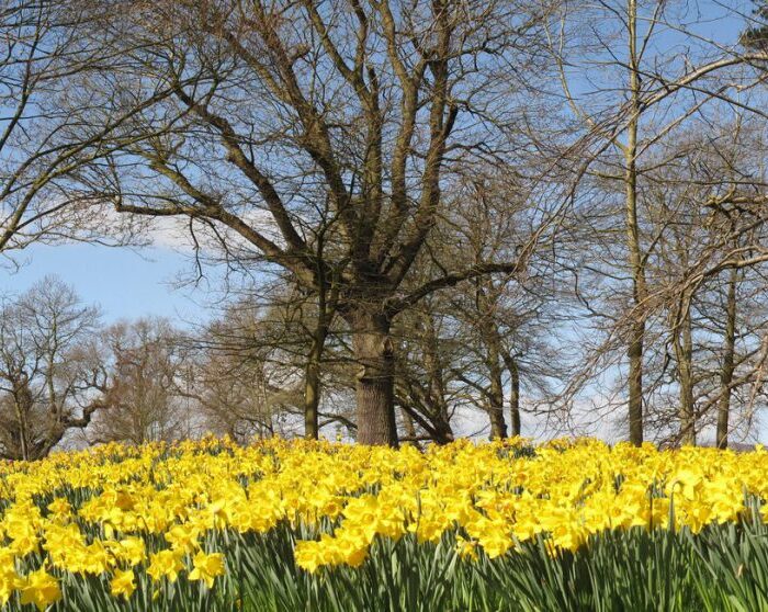 barnett demesne 1 scaled