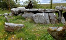 cavan burren park