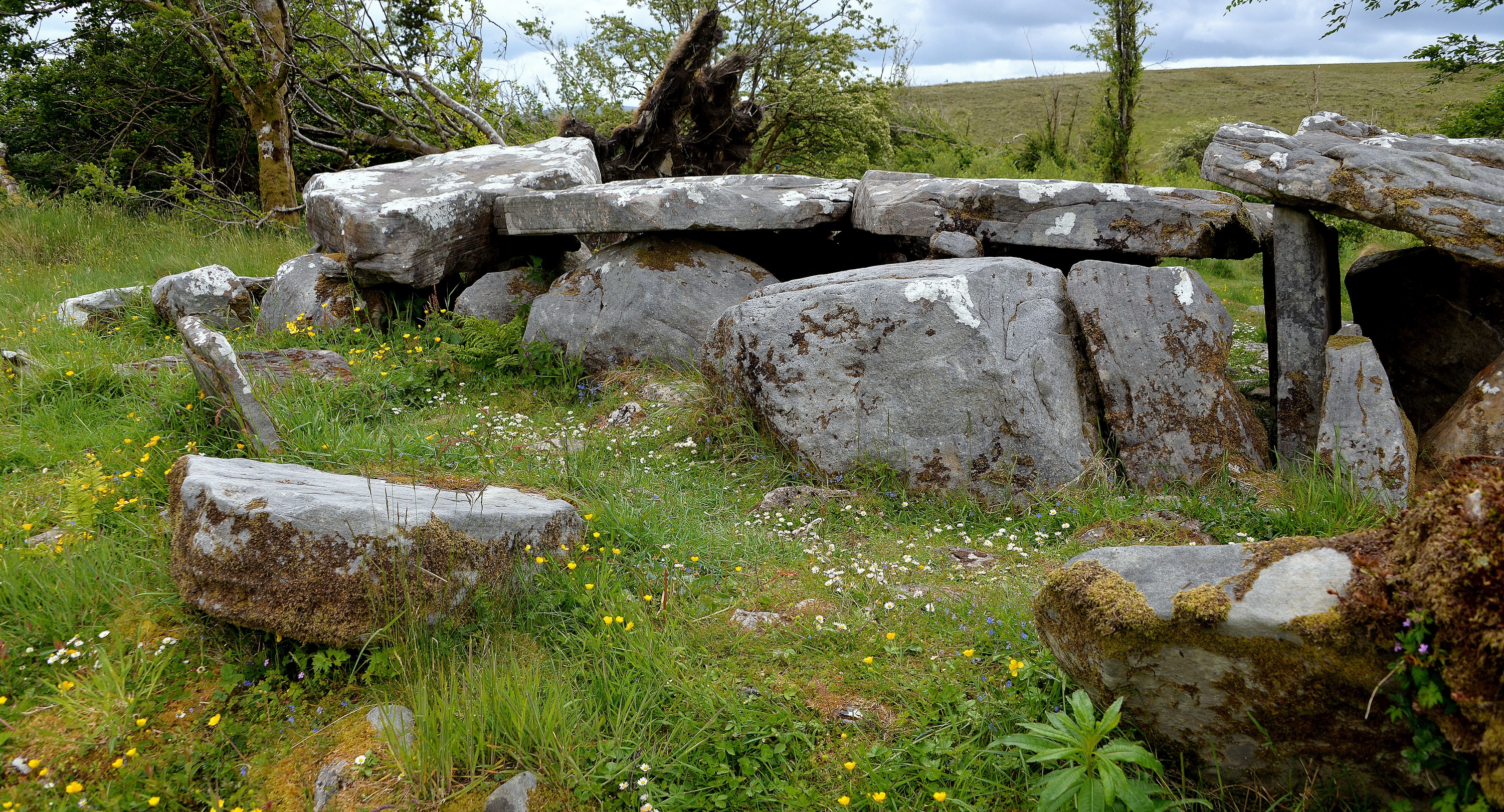 Le Cavan Burren Park - Keith Ewing - cc