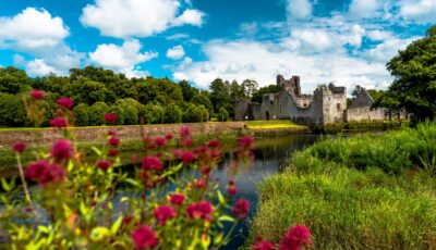 desmond castle adare