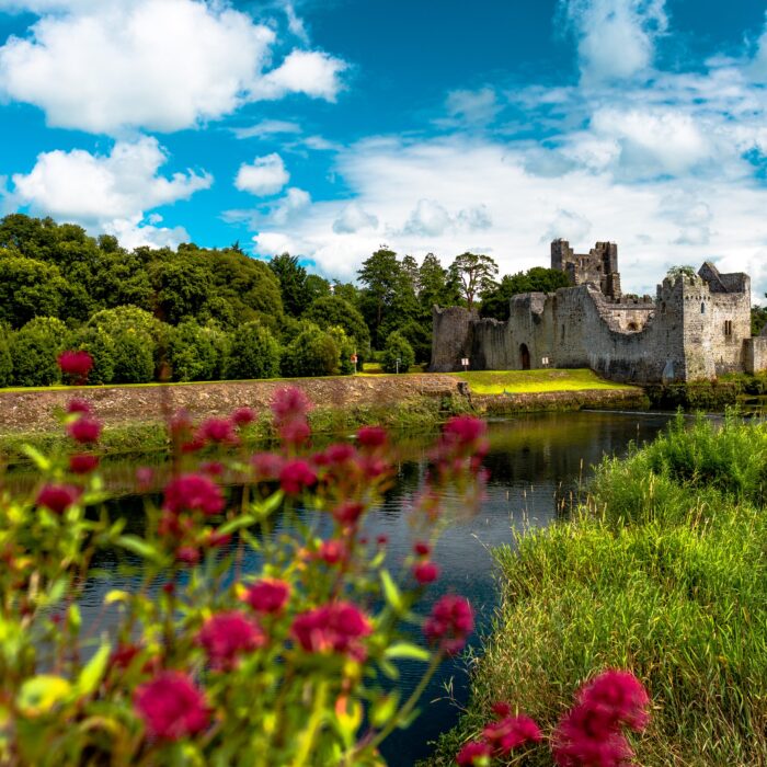 desmond castle adare