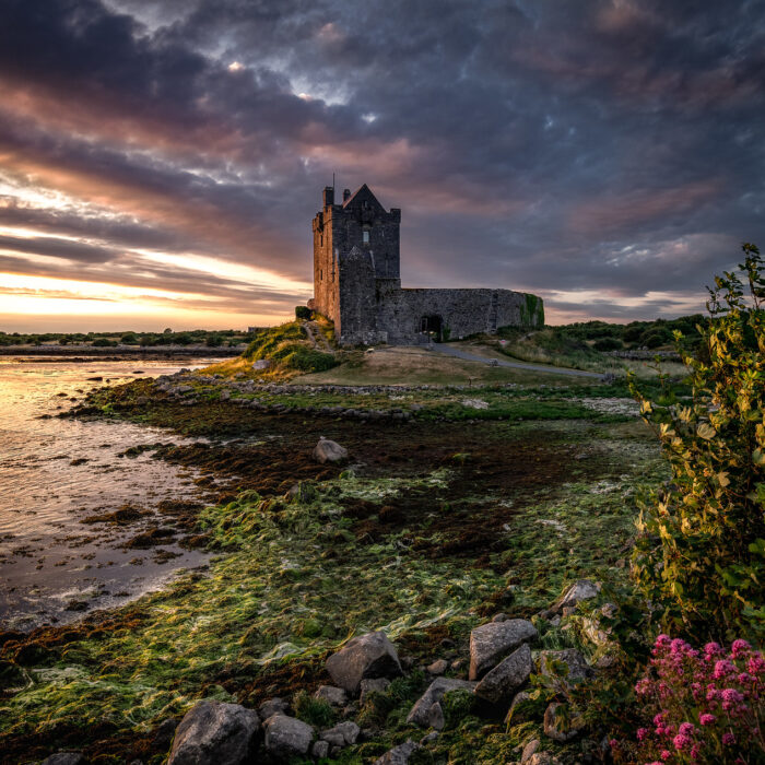 dunguaire castle 4