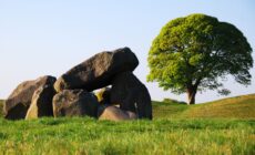 giants ring 1 scaled