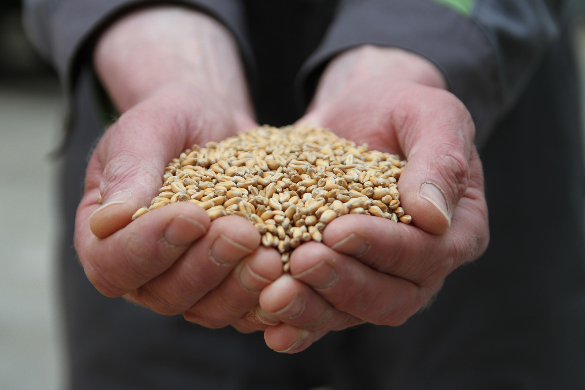 Aidez les agriculteurs locaux ! - Rural Matters - cc