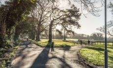 malahide park 1