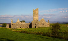 moyne abbey