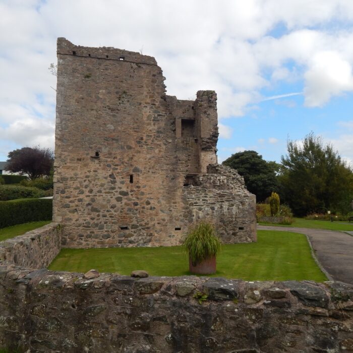 quoile castle 1