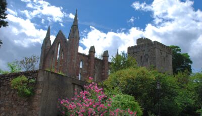 selskar abbey 2
