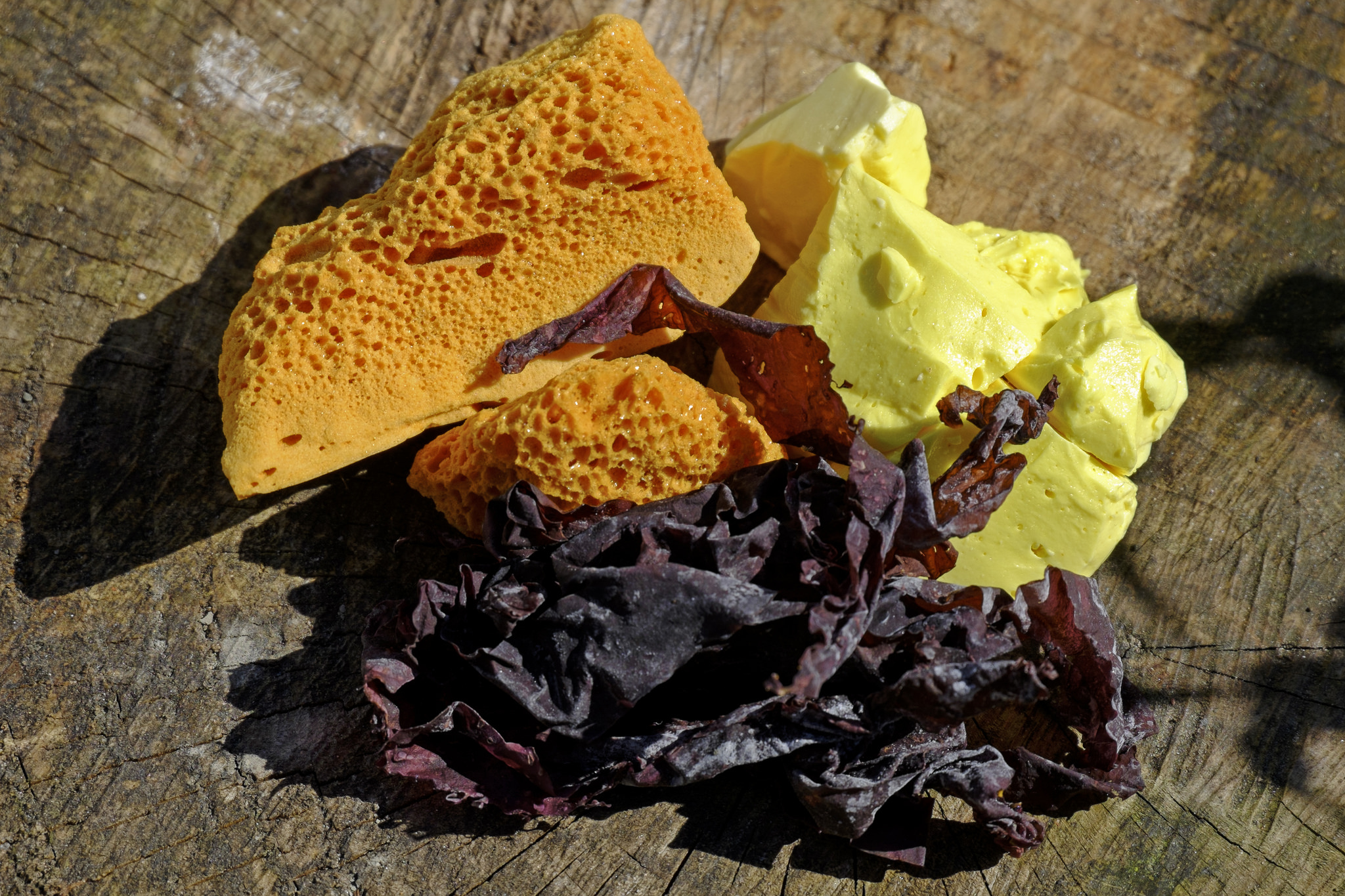 Du yellowman avec de la dulse et un nid d'abeille - philip hay - cc
