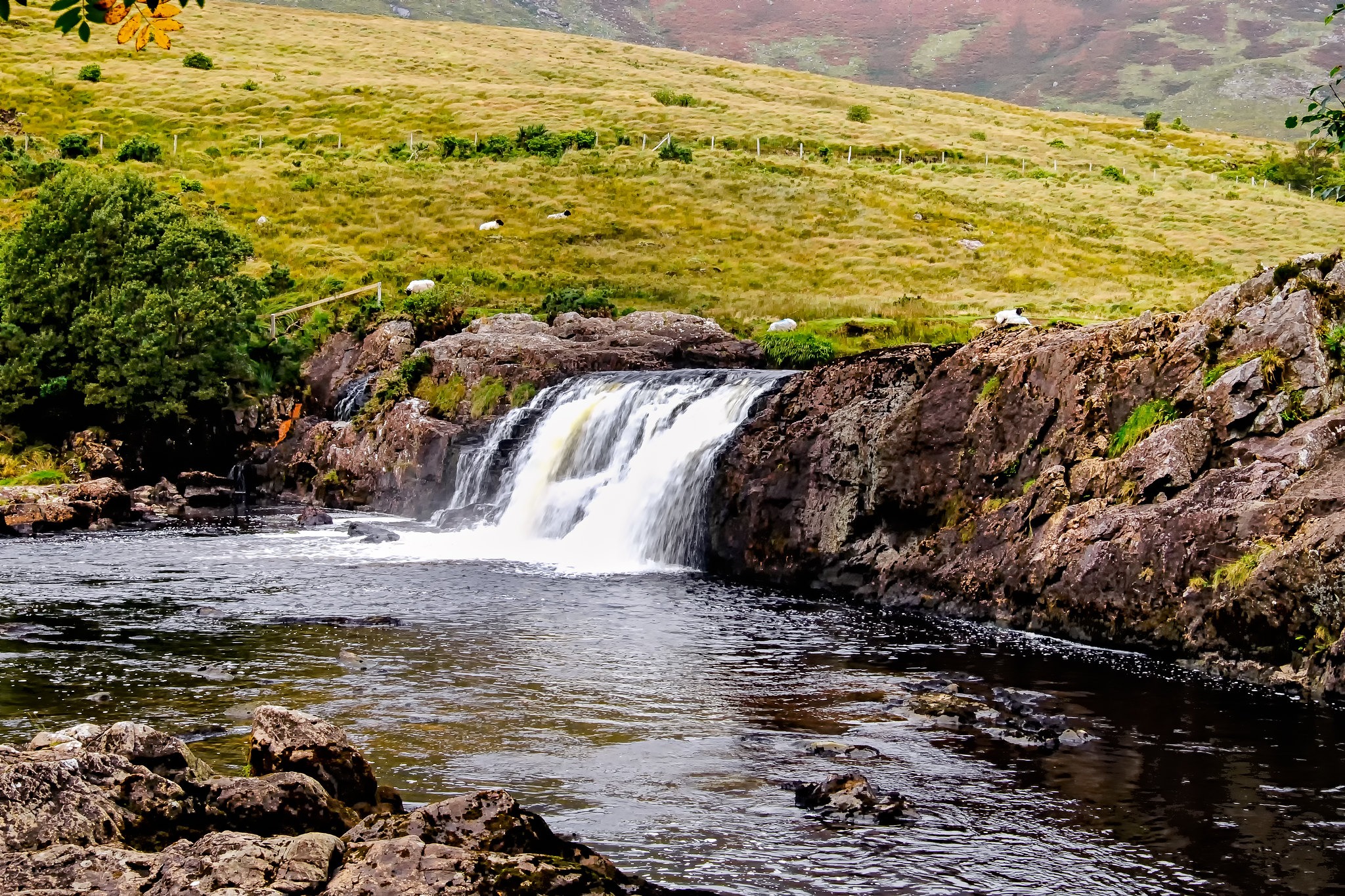 Aasleagh Falls - Pat O'Malley - cc