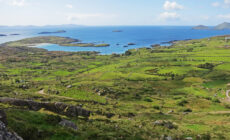 anneau kerry