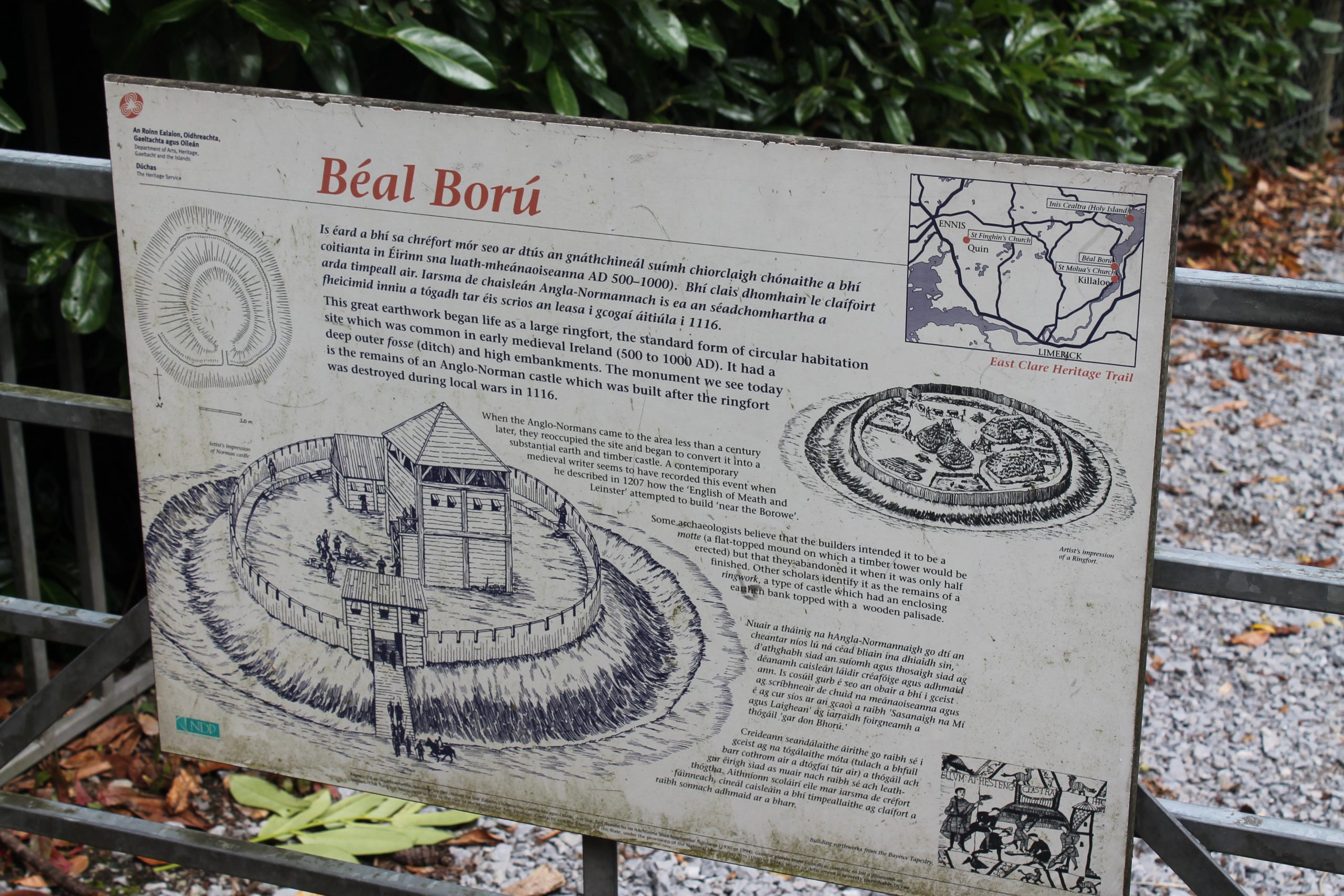 Le Beal Boru