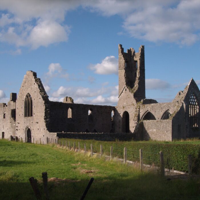 kilmallock abbey 1