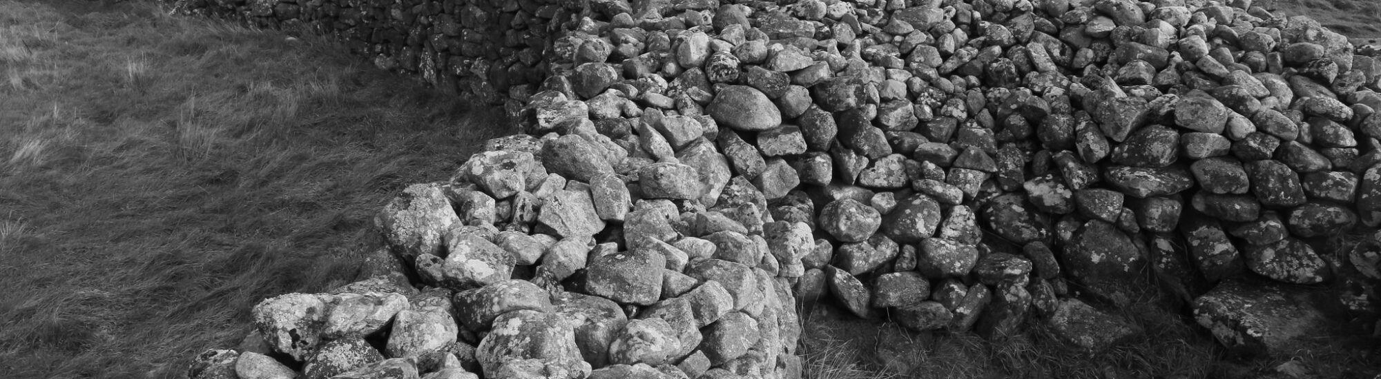 The Rathgall Hillfort