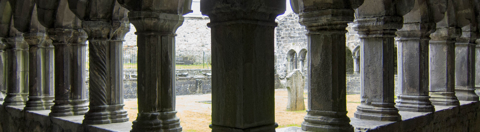 Sligo Abbey