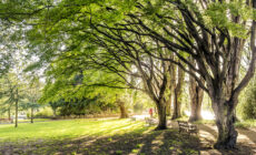 fitzgerald park 1