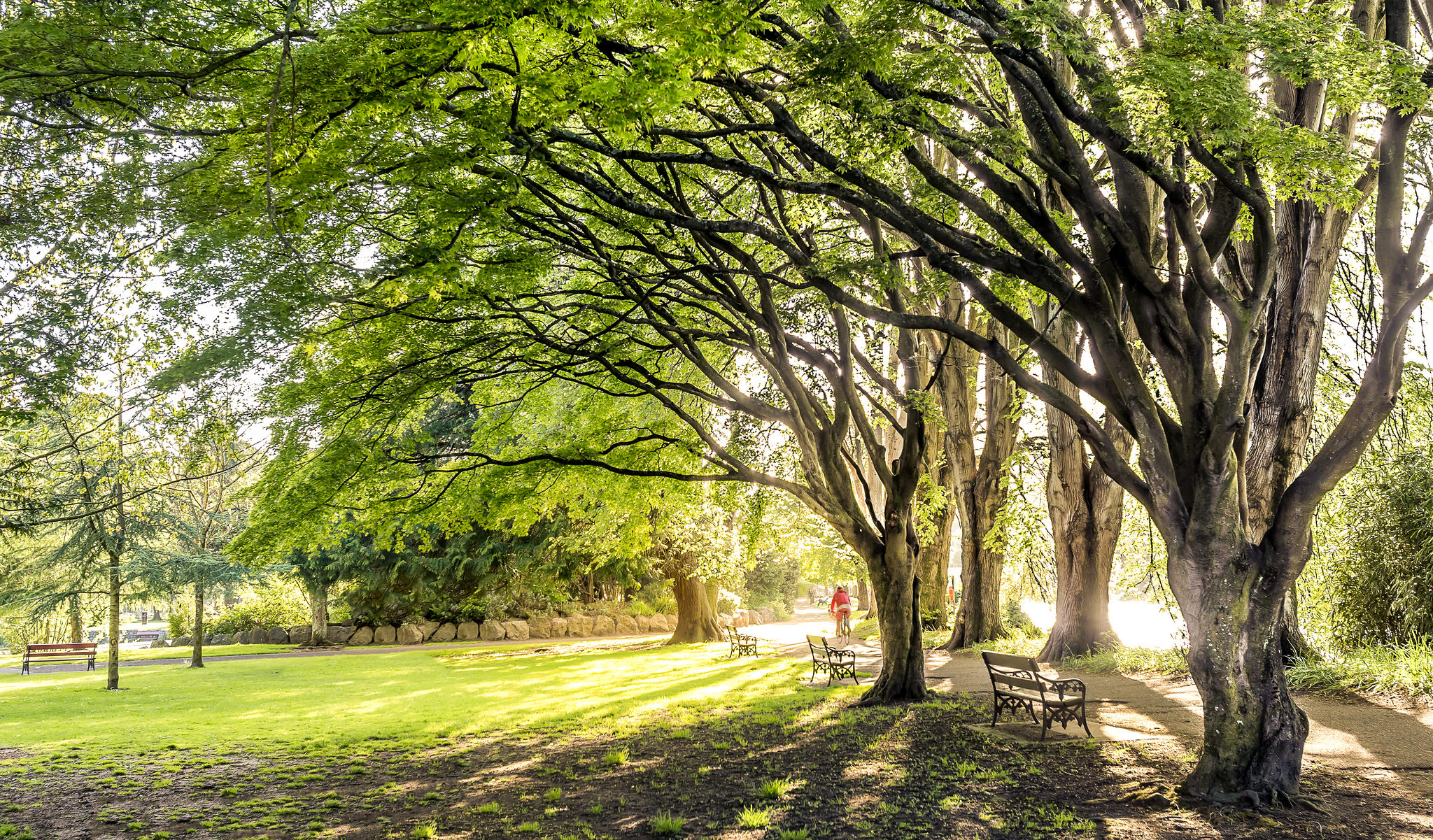 Le Fitzgerald park de Cork - Vincent Moschetti - cc