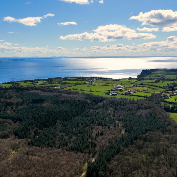 Le Lough Neagh -