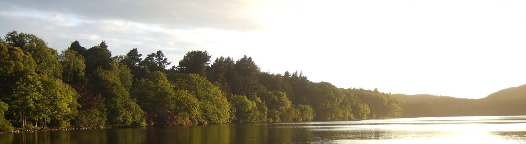 Castlewellan Forest Park & Peace Maze