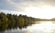 castlewellan park