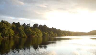 castlewellan park