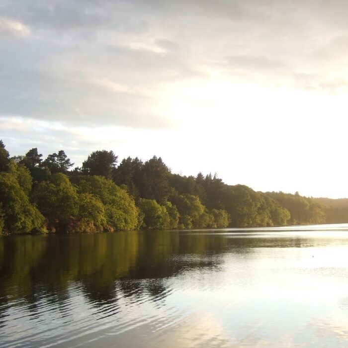 castlewellan park