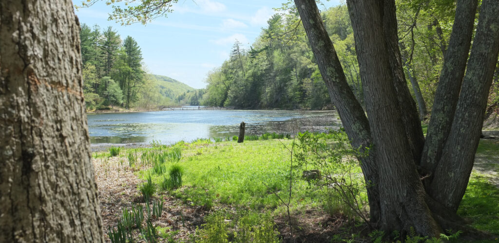 Innisfree County Sligo Island • Go to