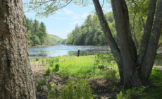 innisfree