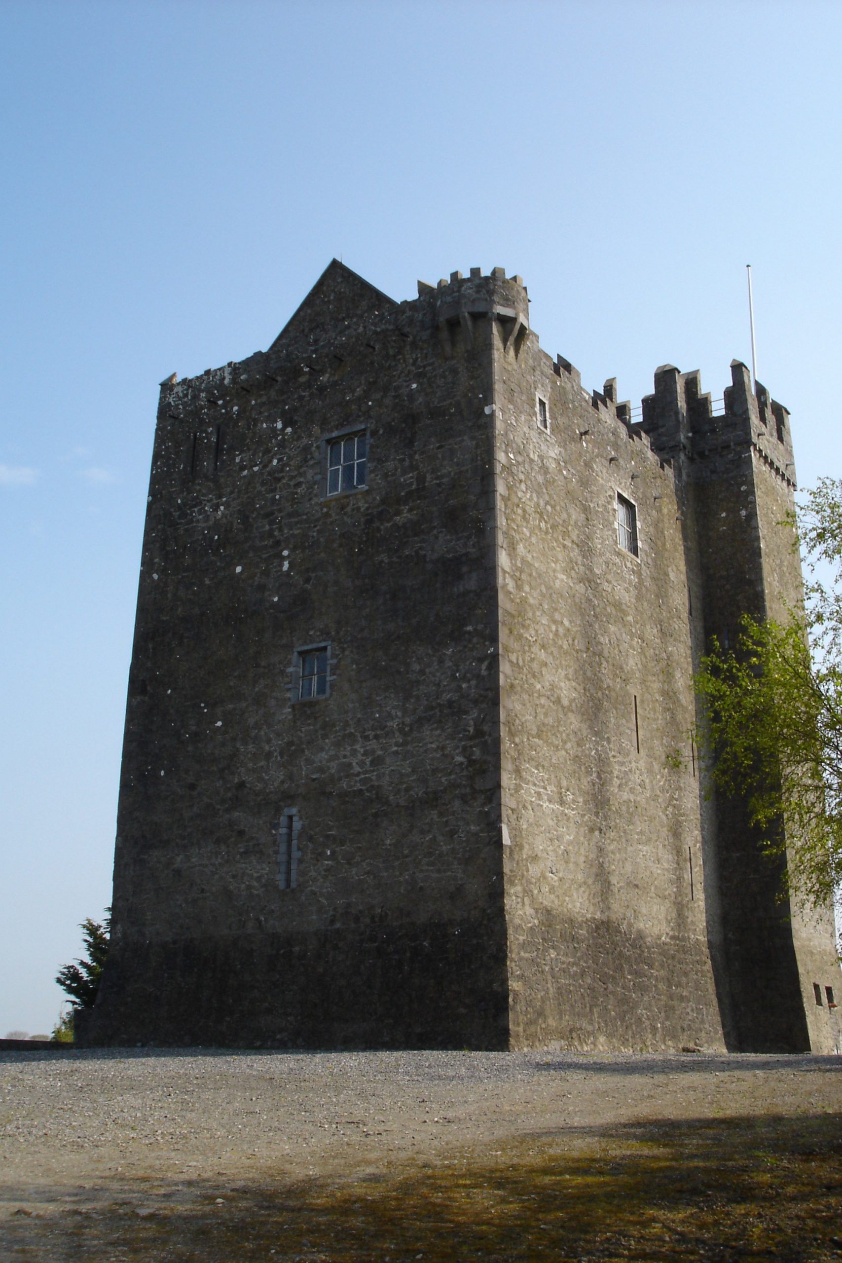Le Redwood Castle - IrishFireside - cc