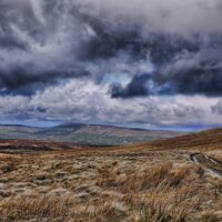 County Tyrone
