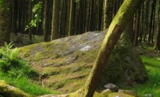 gougane barra forest park 1 e1474621938292