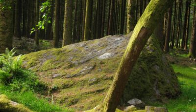 gougane barra forest park 1 e1474621938292