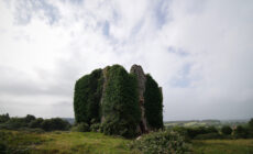 pucks castle 1