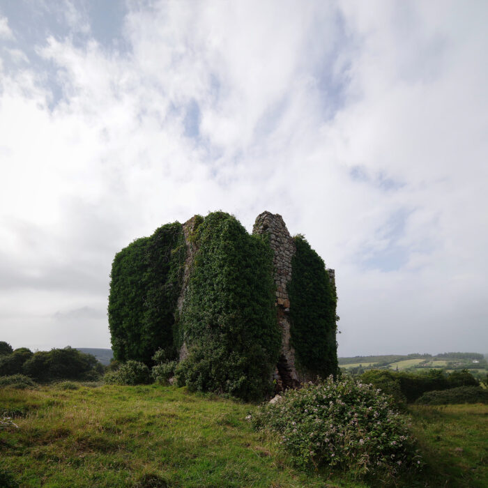pucks castle 1